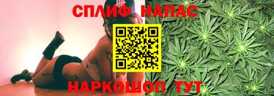 винт Канаш