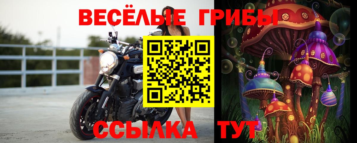Галлюциногенные грибы Cubensis Азов
